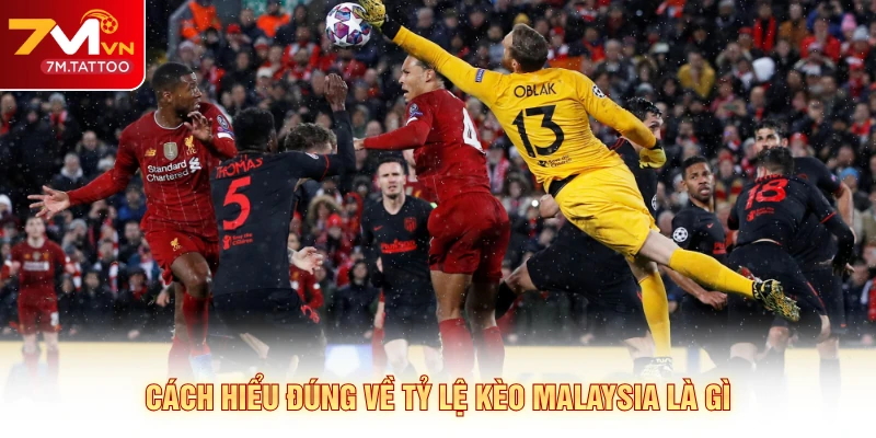 Cách hiểu đúng về tỷ lệ kèo Malaysia là gì