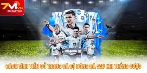 Cách Tính Tiền Cỏ Trong Cá Độ Bóng Đá