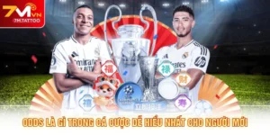 Odds Là Gì