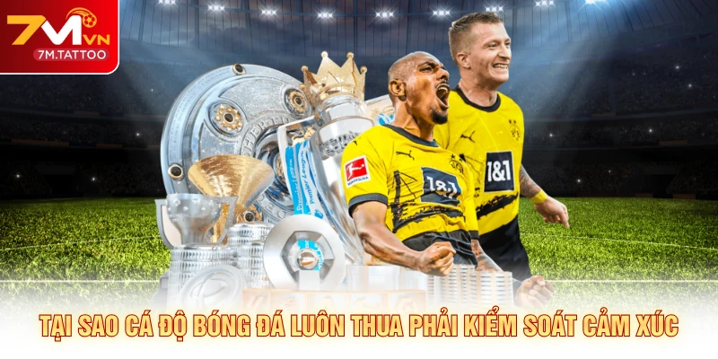 Tại sao cá độ bóng đá luôn thua phải kiểm soát cảm xúc