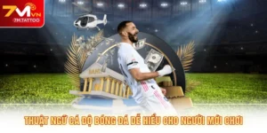 Thuật Ngữ Cá Độ Bóng Đá